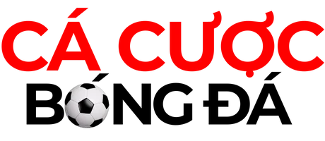 elpunto.news