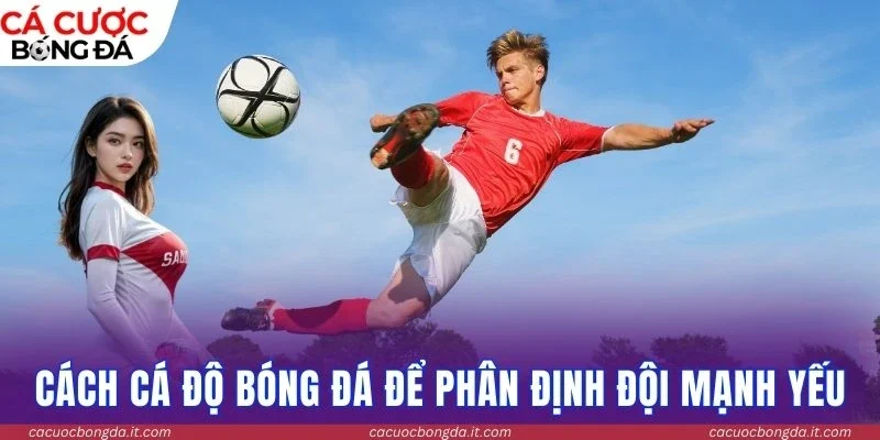 Cách cá độ bóng đá hiệu quả để phân định đội mạnh yếu