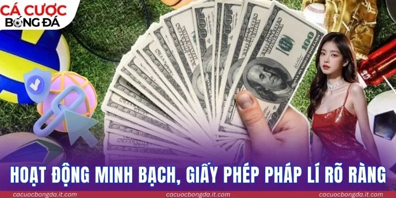 Hoạt động minh bạch, giấy phép pháp lí rõ ràng