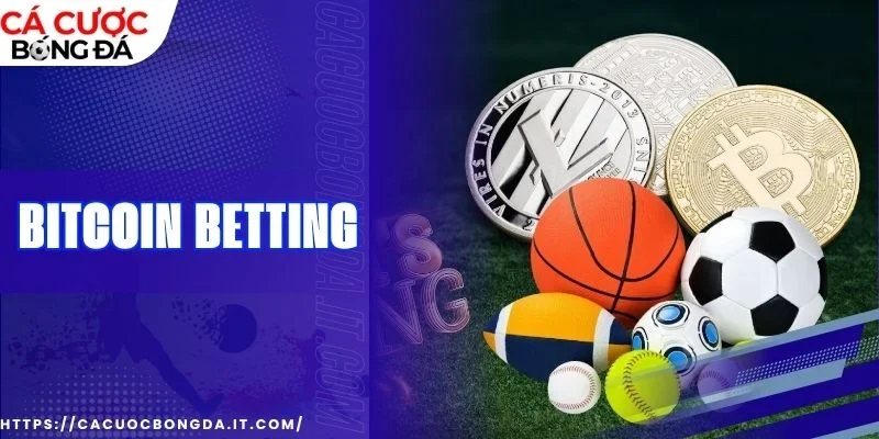 List thể thao đa dạng được hỗ trợ tại hệ thống