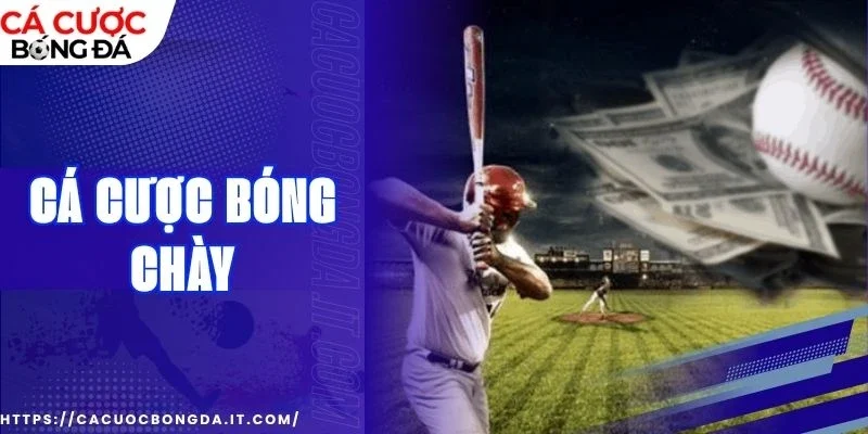 cá cược bóng chày