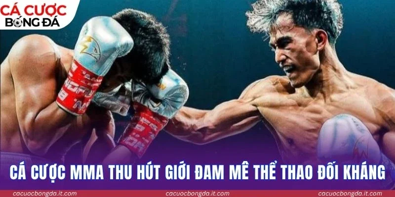 Cá cược MMA thu hút giới đam mê thể thao đối kháng