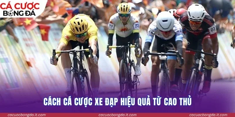 Cách Cá cược đua xe đạp hiệu quả từ cao thủ
