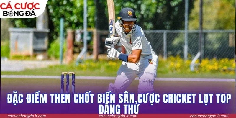 Đặc điểm then chốt biến sân cược Cricket lọt top đáng thử