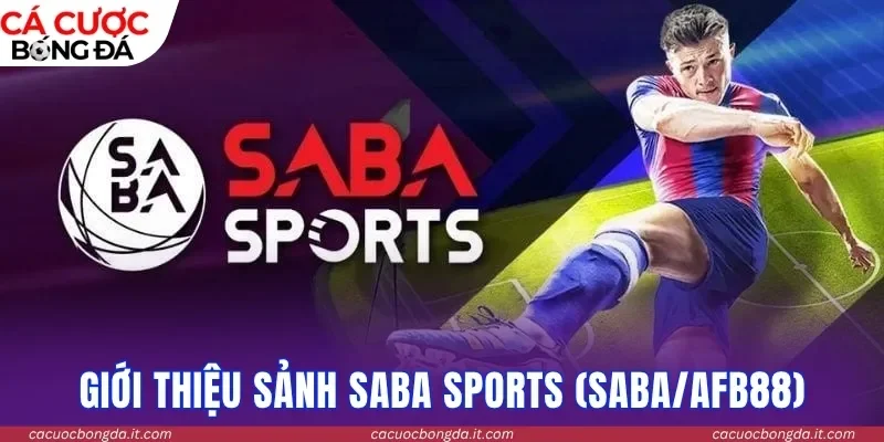 Giới thiệu sảnh SABA Sports (SABA/AFB88)