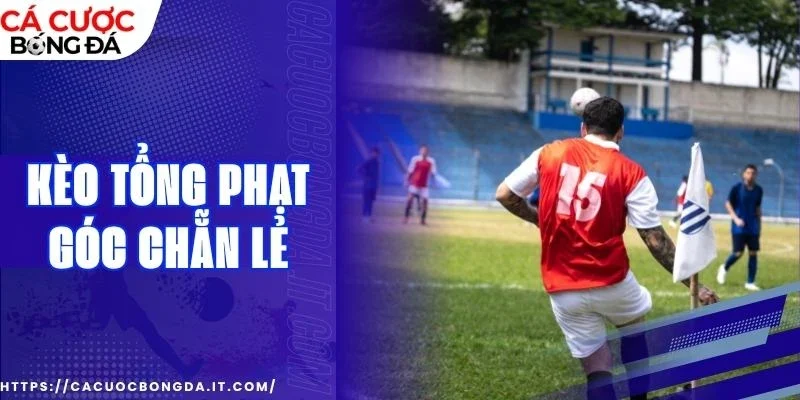 Mẹo soi chuẩn dân cược từ chuyên gia