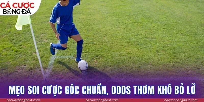 Mẹo soi cược góc chuẩn, odds thơm khó bỏ lỡ