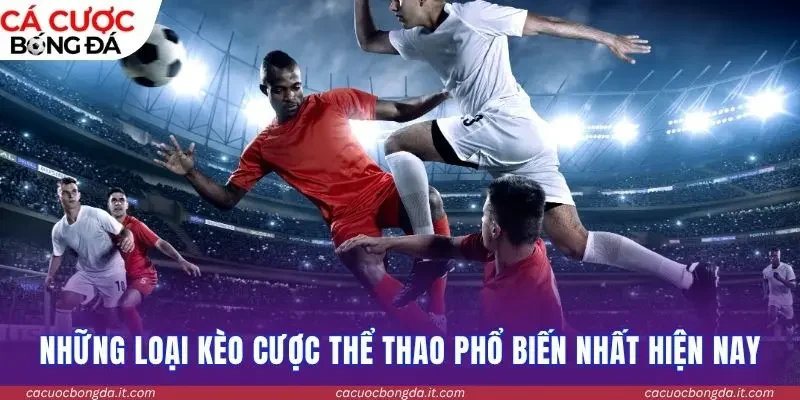 Những loại kèo cược thể thao phổ biến nhất hiện nay