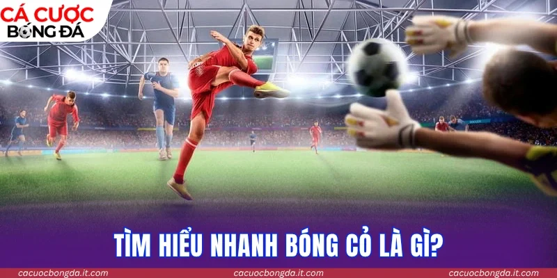 Tìm hiểu nhanh thế nào là bóng cỏ?