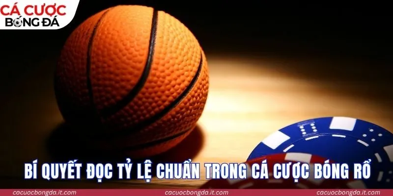 Bí quyết đọc tỷ lệ chuẩn trong cá cược bóng rổ