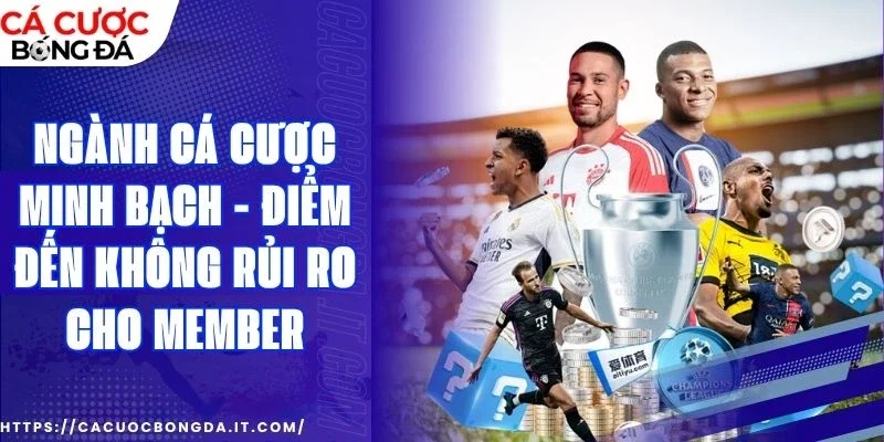 Quyền lợi của member được bảo đảm khi tham gia đúng nơi
