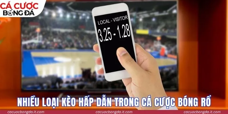 Nhiều loại kèo hấp dẫn trong cá cược bóng rổ